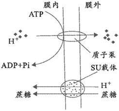 菁優(yōu)網(wǎng)