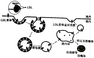 菁優(yōu)網