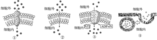 菁優(yōu)網(wǎng)