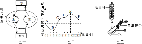 菁優(yōu)網(wǎng)