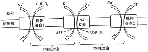 菁優(yōu)網