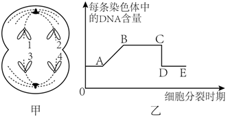 菁優(yōu)網(wǎng)