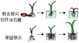 菁優(yōu)網