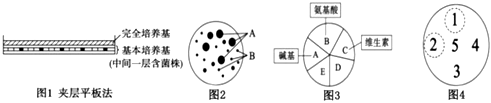 菁優(yōu)網