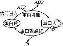 菁優(yōu)網