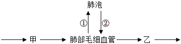 菁優(yōu)網(wǎng)