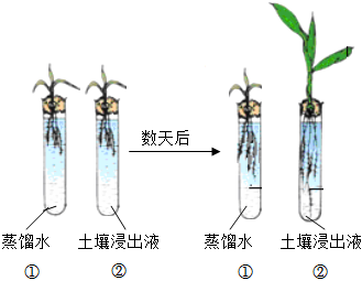 菁優(yōu)網