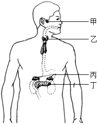 菁優(yōu)網(wǎng)