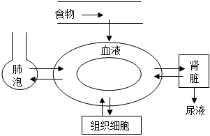 菁優(yōu)網(wǎng)