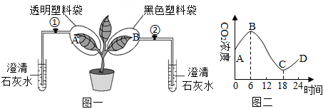 菁優(yōu)網