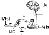 菁優(yōu)網