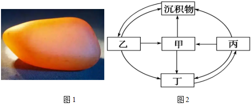 菁優(yōu)網(wǎng)