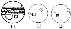 菁優(yōu)網(wǎng)