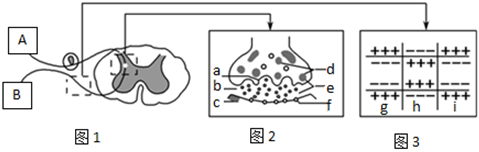 菁優(yōu)網(wǎng)