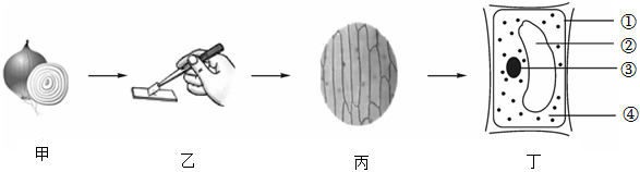 菁優(yōu)網(wǎng)