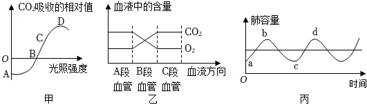 菁優(yōu)網(wǎng)