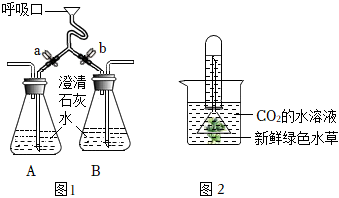 菁優(yōu)網(wǎng)