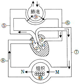 菁優(yōu)網(wǎng)