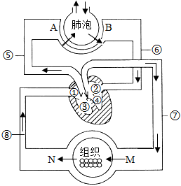 菁優(yōu)網(wǎng)