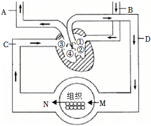 菁優(yōu)網(wǎng)