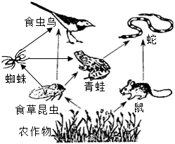 菁優(yōu)網(wǎng)