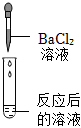 菁優(yōu)網