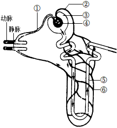 菁優(yōu)網(wǎng)