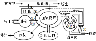 菁優(yōu)網(wǎng)