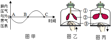 菁優(yōu)網(wǎng)