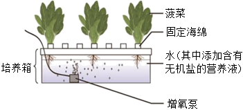 菁優(yōu)網(wǎng)