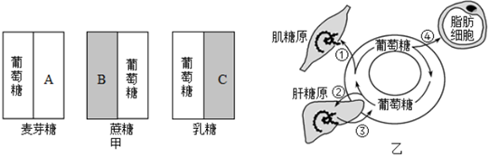 菁優(yōu)網