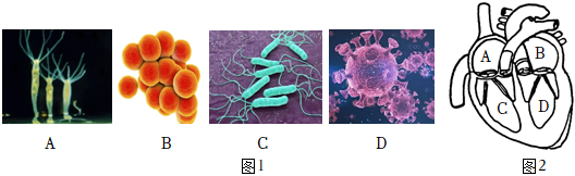 菁優(yōu)網(wǎng)