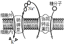 菁優(yōu)網(wǎng)