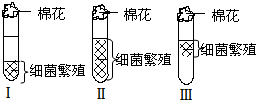 菁優(yōu)網