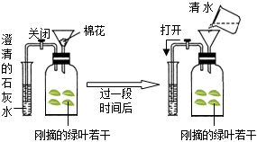 菁優(yōu)網(wǎng)