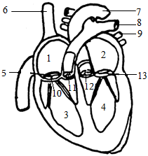 菁優(yōu)網(wǎng)