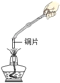 菁優(yōu)網(wǎng)