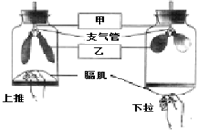 菁優(yōu)網