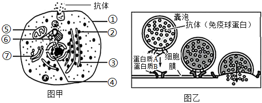 菁優(yōu)網(wǎng)