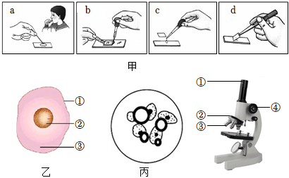 菁優(yōu)網