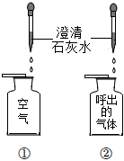 菁優(yōu)網