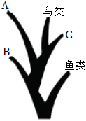 菁優(yōu)網(wǎng)