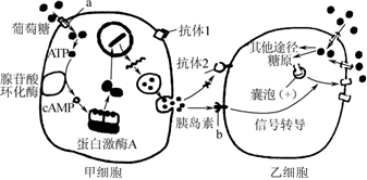 菁優(yōu)網(wǎng)