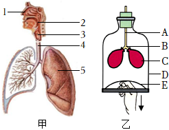 菁優(yōu)網(wǎng)