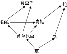 菁優(yōu)網(wǎng)