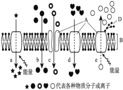 菁優(yōu)網(wǎng)