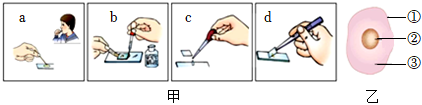 菁優(yōu)網(wǎng)