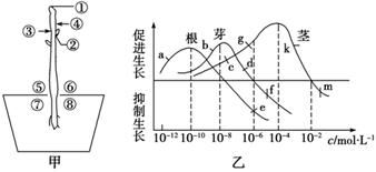 菁優(yōu)網(wǎng)