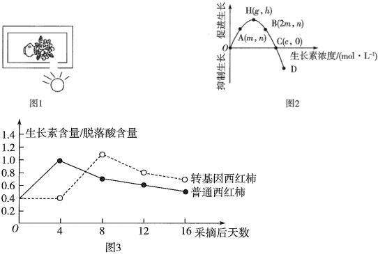 菁優(yōu)網(wǎng)