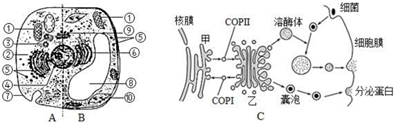 菁優(yōu)網(wǎng)